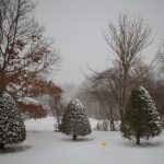 玩弄美妇系列 tdwhhnm